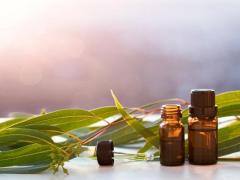 Eucalyptus essential oil