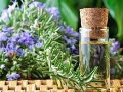 Rosemary Essential Oil
