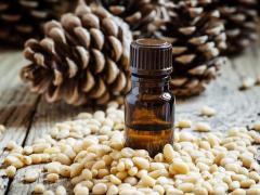 Essential Oil of the Cedar of the Atlas