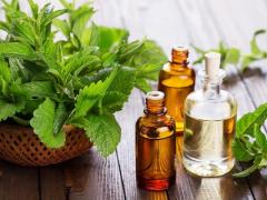 Mint essential oil