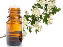 Myrtle essential oil