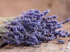 Dried Lavender