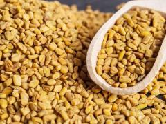 Grains of Fenugreek
