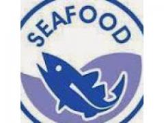 Frozen Seafood Morocco : Sardines, Mackerel, Sardinella Aurita, Horse Mackerel, Bonito, Ribbon fish,