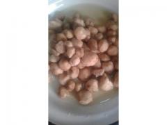 Truffe Maroc