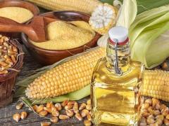 Corn oil