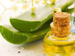 Aloe Vera Oil