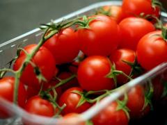 CHERRY COCKTAIL TOMATOES:  IN BARQUET 500G AND 110 BOX/PAL STANDART