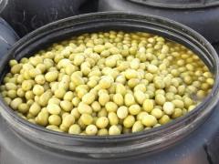 Whole and broken green olives BELDI