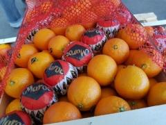 CLEMENTINES ( VARIETY BRUNO ) :  IN BOX 10 KG NET WEIGHT AND 117 BOX/PAL STANDART.