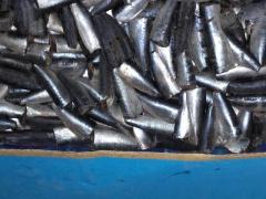 FROZEN SARDINE PILCHARDUS HGT