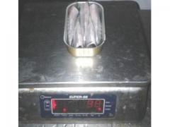 FROZEN SARDINE PILCHARDUS  HEADED GUTTED