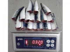 FROZEN SARDINE PILCHARDUS HGT