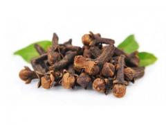 EXPORT / SELL : Natural and pure Clove oil