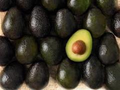 AVOCADO ZUTANO, ORIGIN MOROCCO, REQUIRED QUANTITY 2500 T à 3000 T  DAP MALAGA