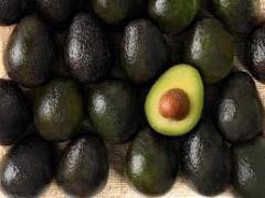 AVOCAT ZUTANO, ORIGINE MAROC, QUANTITE 2500 T à 3000 T  DAP MALAGA