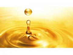 EXPORT / SELL : COSMETIC AND FOOD ARGAN OIL( CERTIFIED ORGANIC ) FROM MOROCCO