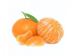CLEMENTINES NULES IN BOX 10 KG NET WEIGHT AND 117 BOX/PAL
