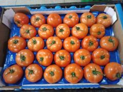 Tomate ronde, origine Maroc