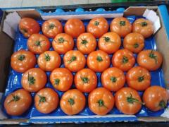 Round tomatoes, origin Morocco