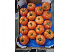 Round tomatoes, origin Morocco