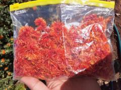 Dried safflower