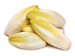 Fresh endives moroccan origin