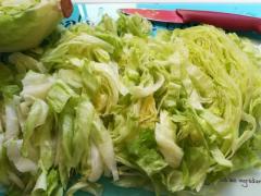 Fresh salad Iceberg moroccan origin