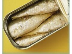 Canned sardines origin Morocco