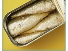 Conserves de Sardines origin Maroc