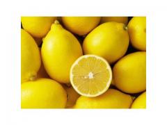 Citron de très bonne qualité origine Maroc