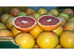 Grapefruit of high quality origin Morocco