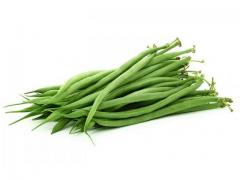 Haricots verts de bonne qualité origine Maroc