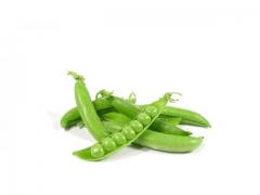 Pea fresh ,Frozen from Morocco