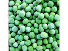 Pea fresh ,Frozen from Morocco