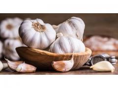 Moroccan garlic