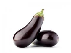 Fresh eggplant from Morocco