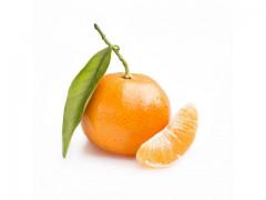 Marocaine Mandarine Nova