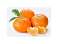 Marocaine Mandarine Nova