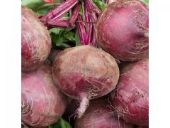 Red Vegetable Beetroot