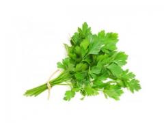 Green chervil
