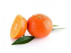 Tangerine nadorcotte Moroccan production