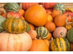 Fresh sweet pumpkin