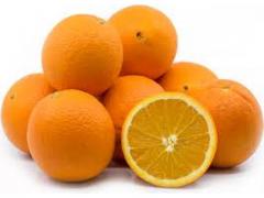 Excellent orange Navel origin Morocco.
