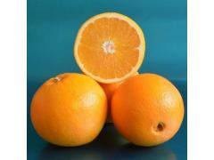 Excellent orange Navel origin Morocco.