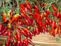 Red niora of high quality
