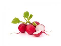 Red radish