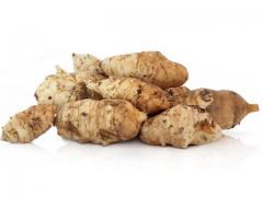 Fresh Jerusalem artichokes from Morocco