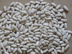 Dried white beans Moroccan production